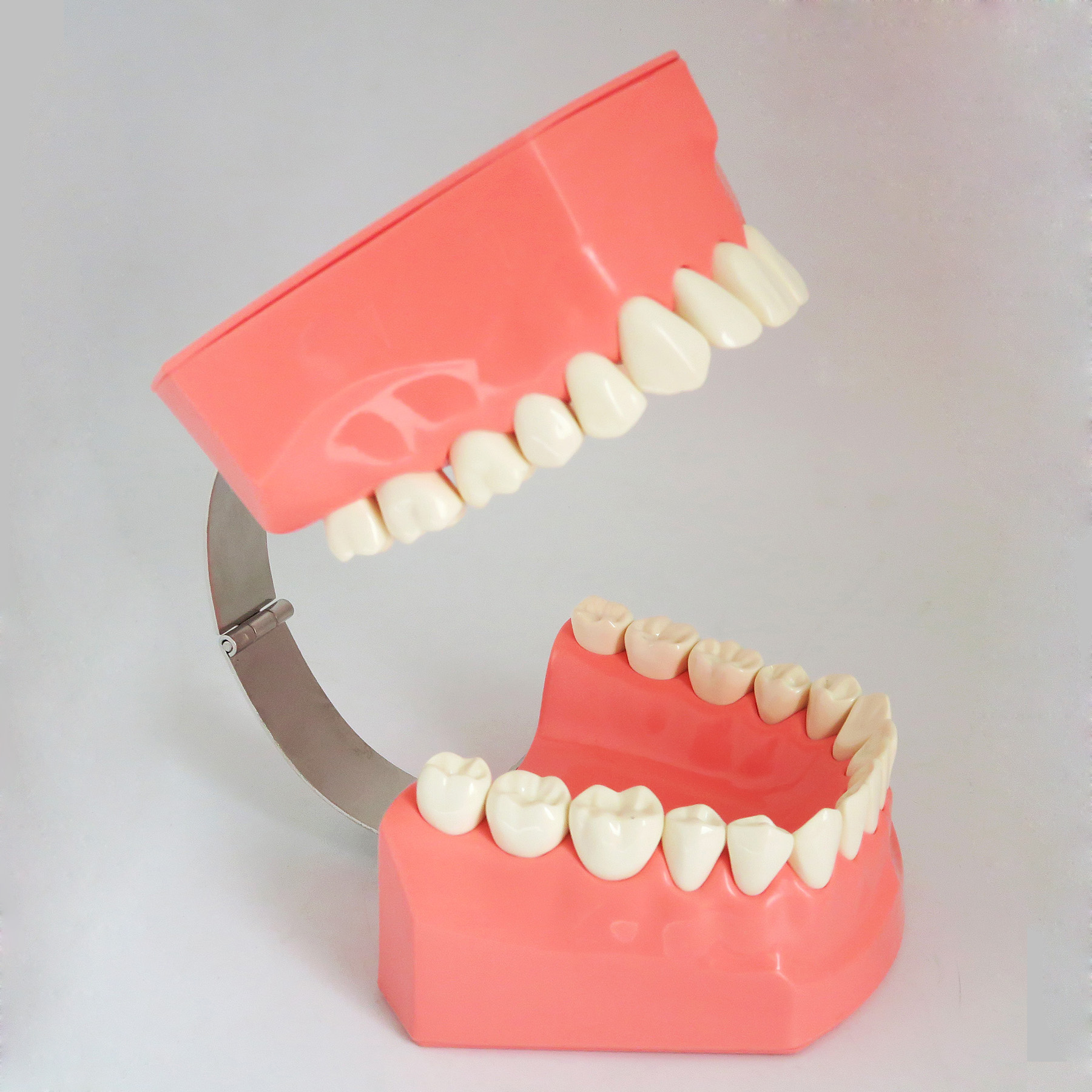 TM-S1二次刷牙模型